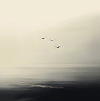 Mist Solitude Coastal Painting Art - Square