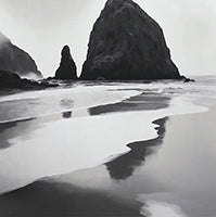 Ash Solitude Coastal Painting Art - Vertical
