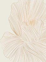Golden Reverie Botanical Painting Art - Set of 2