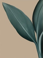 Teal Stillness Botanical Painting Art - Set of 2
