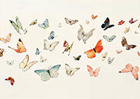Pearl Drift Botanical Painting Art - Horizontal