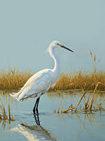 Pearl Stillness Coastal Painting Art - Vertical