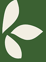 Ivory Bloom Organic Soft Painting Art - Vertical