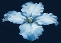 Midnight Bloom Botanical Rich Painting Art - Horizontal