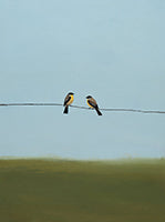 Sage Stillness Minimalist Painting Art - Vertical