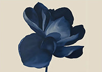 Midnight Bloom Botanical Warm Painting Art - Horizontal