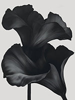 Onyx Bloom Botanical Deep Painting Art - Vertical