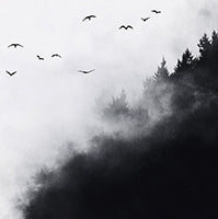 Mist Solitude Nordic Deep Painting Art - Vertical