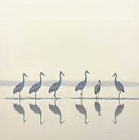 Mist Stillness Coastal 11 Painting Art - Square