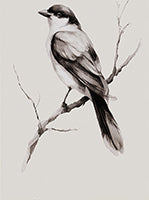 Ash Stillness Monochrome Painting Art - Set of 2