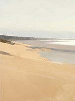Sand Drift Coastal Rich Painting Art - Set of 2