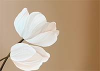 Pearl Bloom Botanical Deep Painting Art - Horizontal