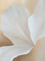 Pearl Reverie Botanical Soft Painting Art - Set of 2