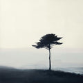 Mist Solitude Coastal 14 Painting Art - Square