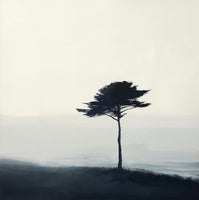 Mist Solitude Coastal 14 Painting Art - Square